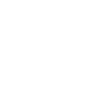 鉄道車輌